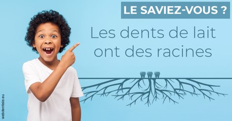 https://www.dr-michel-mahiet.fr/Les dents de lait 2