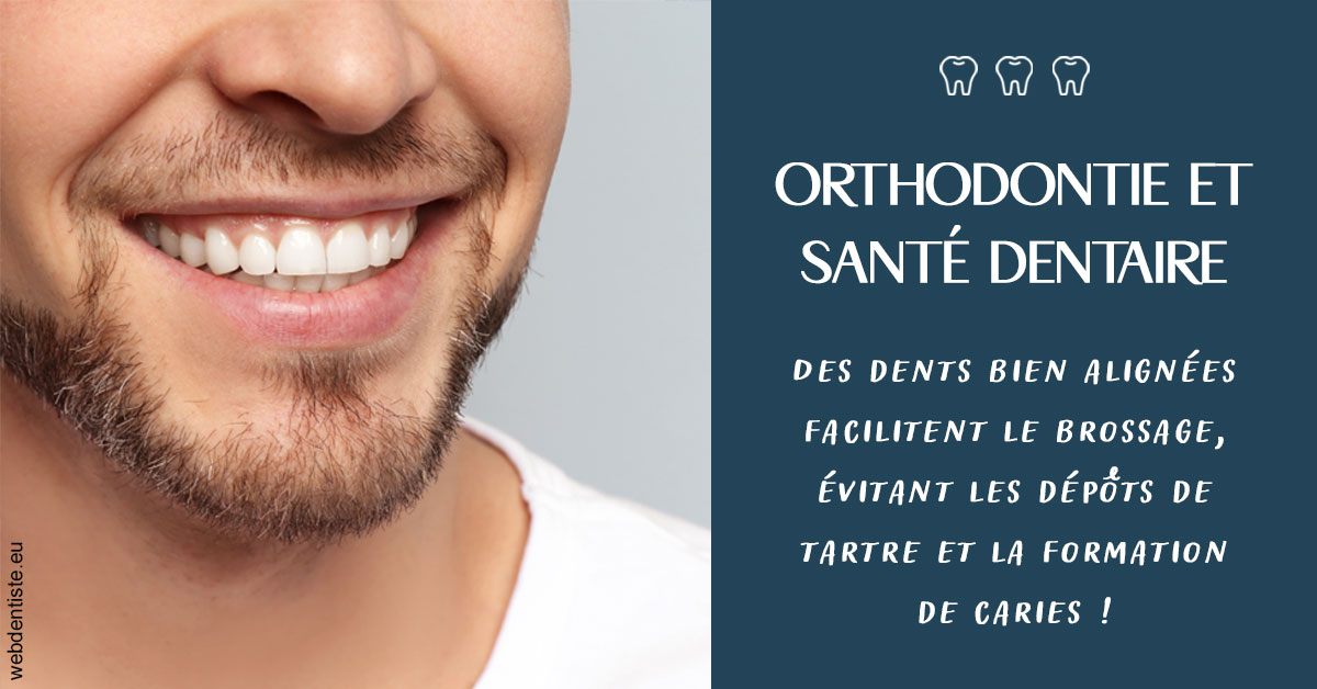 https://www.dr-michel-mahiet.fr/Orthodontie et santé dentaire 2