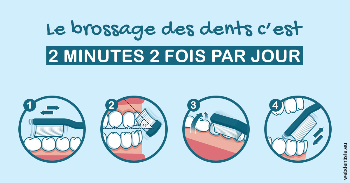 https://www.dr-michel-mahiet.fr/Les techniques de brossage des dents 1