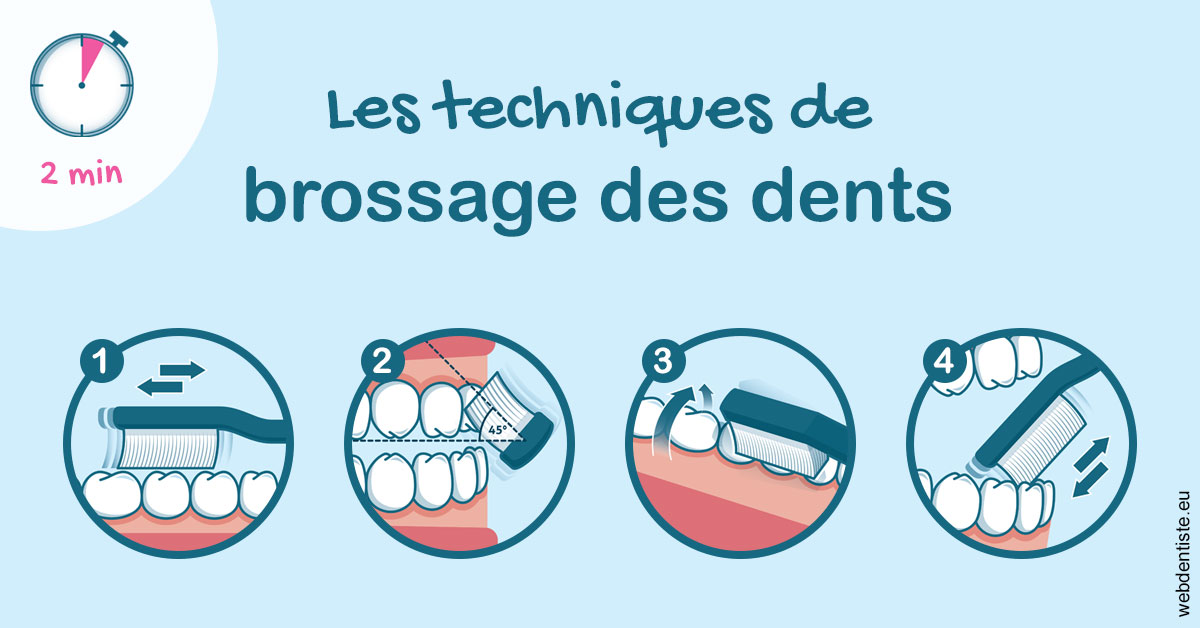 https://www.dr-michel-mahiet.fr/Les techniques de brossage des dents 1