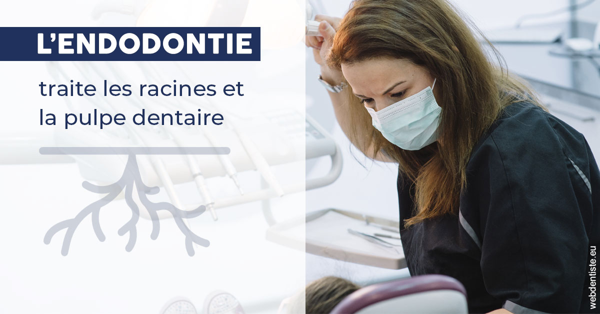 https://www.dr-michel-mahiet.fr/L'endodontie 1
