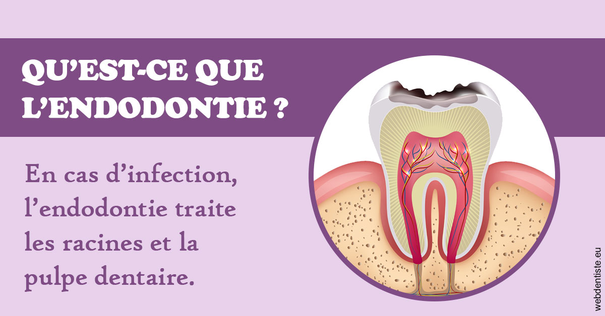https://www.dr-michel-mahiet.fr/2024 T1 - Endodontie 02