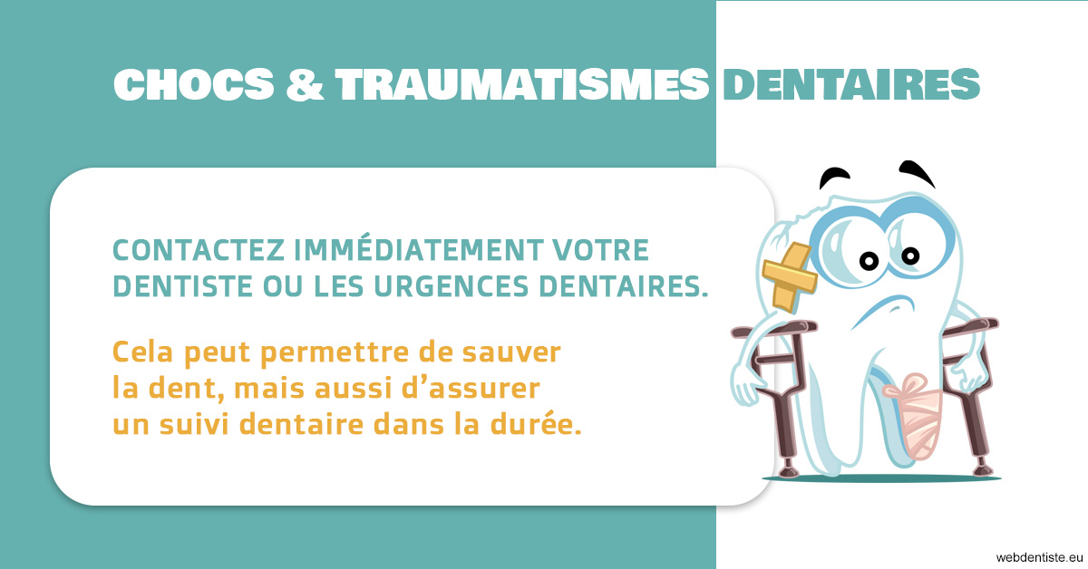 https://www.dr-michel-mahiet.fr/2023 T4 - Chocs et traumatismes dentaires 02