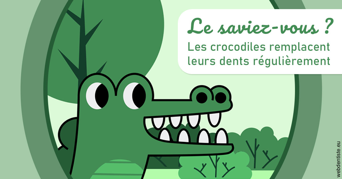 https://www.dr-michel-mahiet.fr/Crocodiles 2