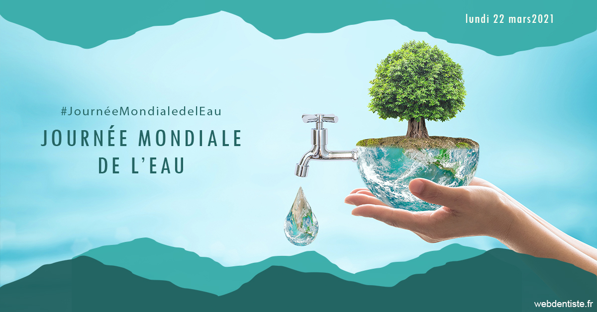 https://www.dr-michel-mahiet.fr/Journée de l'eau 1