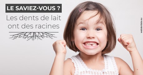 https://www.dr-michel-mahiet.fr/Les dents de lait