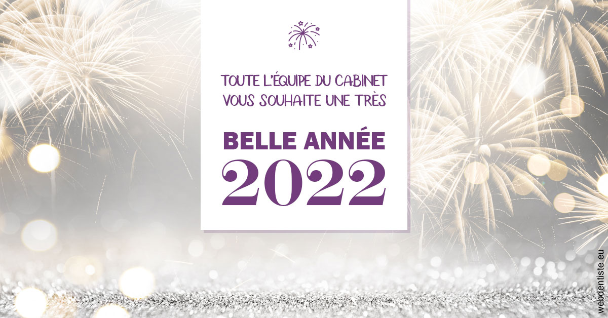 https://www.dr-michel-mahiet.fr/Belle Année 2022 2