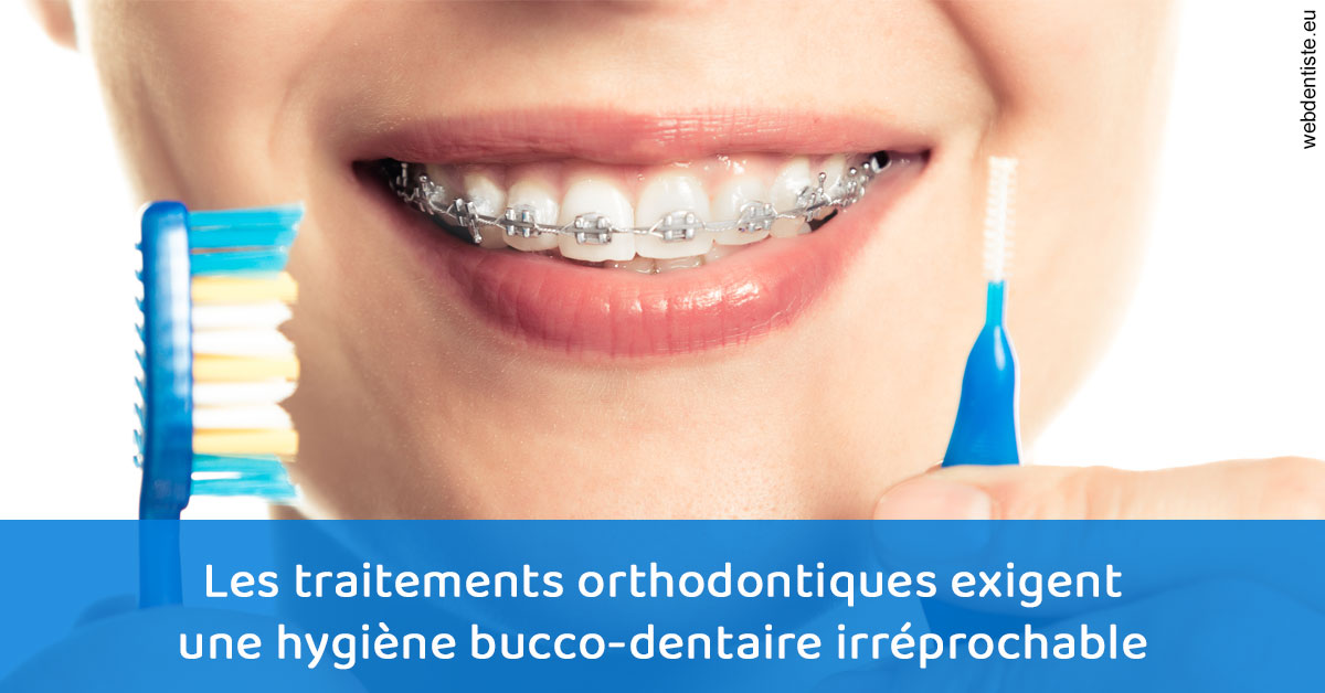 https://www.dr-michel-mahiet.fr/Orthodontie hygiène 1