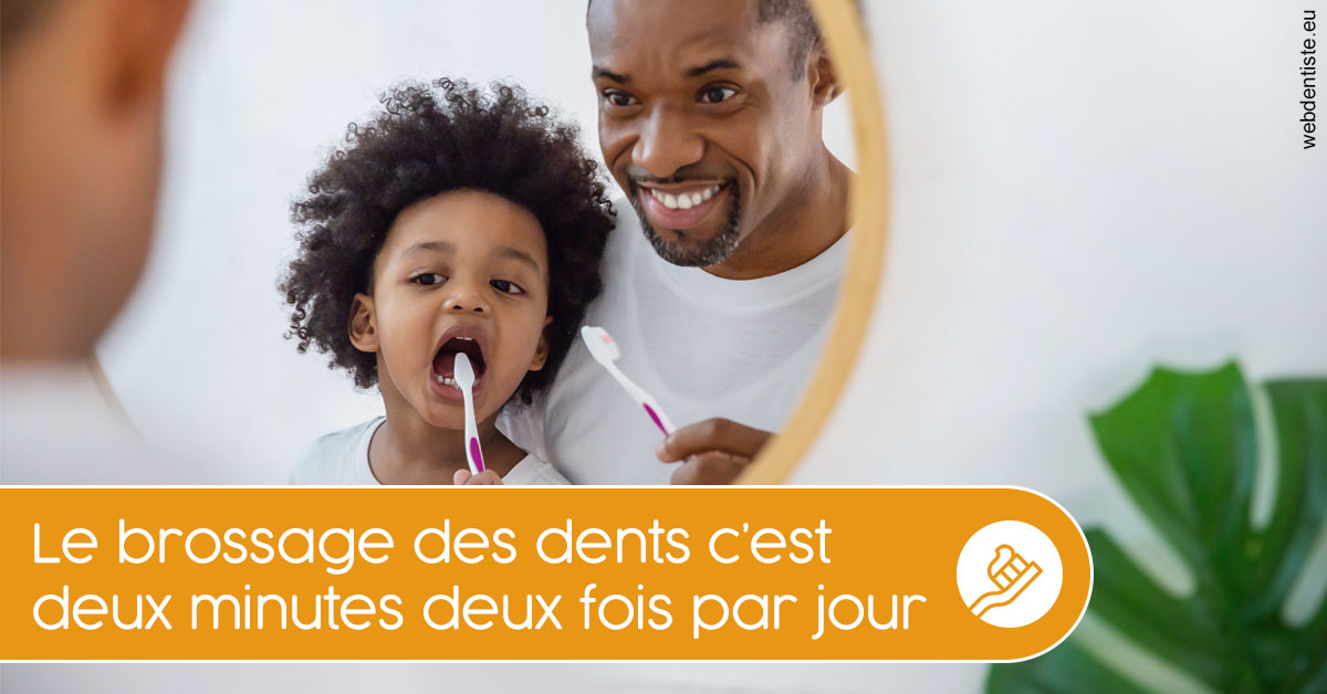 https://www.dr-michel-mahiet.fr/Les techniques de brossage des dents 2