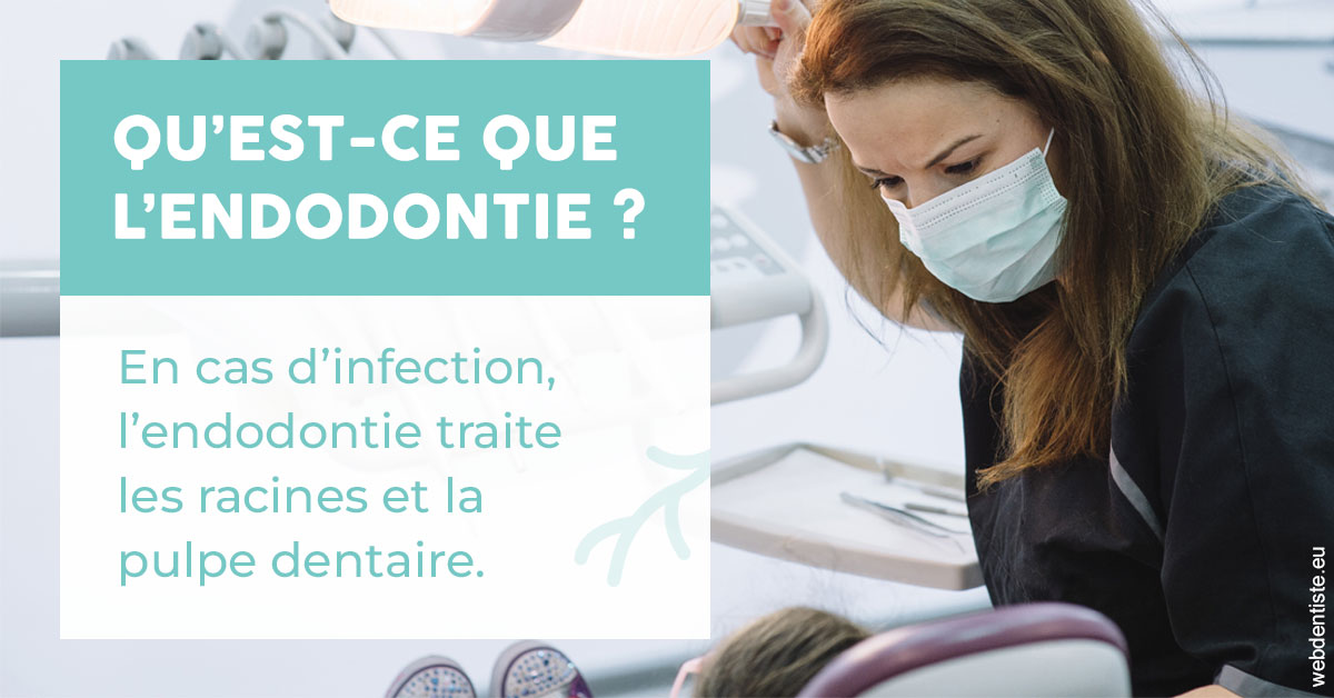 https://www.dr-michel-mahiet.fr/2024 T1 - Endodontie 01