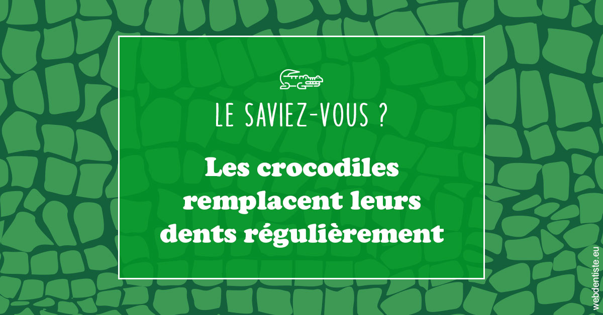 https://www.dr-michel-mahiet.fr/Crocodiles 1