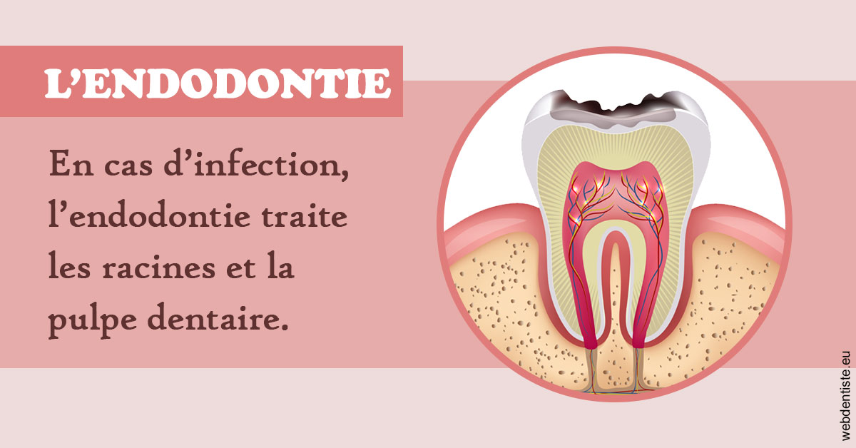 https://www.dr-michel-mahiet.fr/L'endodontie 2